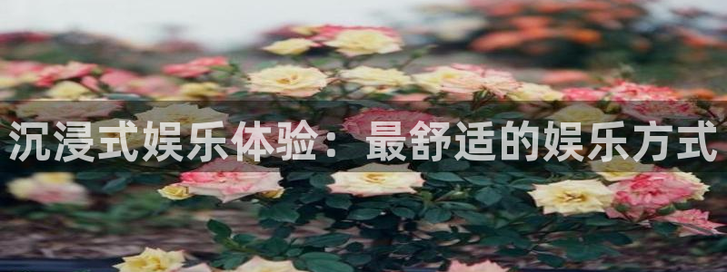 琳琅娱乐注册：沉浸式娱乐体验：最舒适的娱乐方式