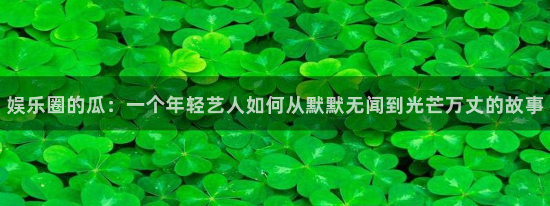 琳琅娱乐：娱乐圈的瓜：一个年轻艺人如何从默默无闻到光芒万丈的故事