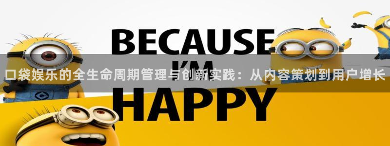 琳琅娱乐注册：口袋娱乐的全生命周期管理与创新实践：从内容策划到用户增长