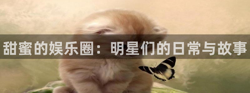琳琅娱乐注册：甜蜜的娱乐圈：明星们的日常与故事
