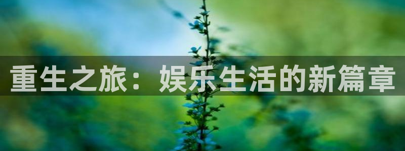 琳琅娱乐：重生之旅：娱乐生活的新篇章