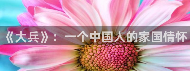 琳琅娱乐注册：《大兵》：一个中国人的家国情怀